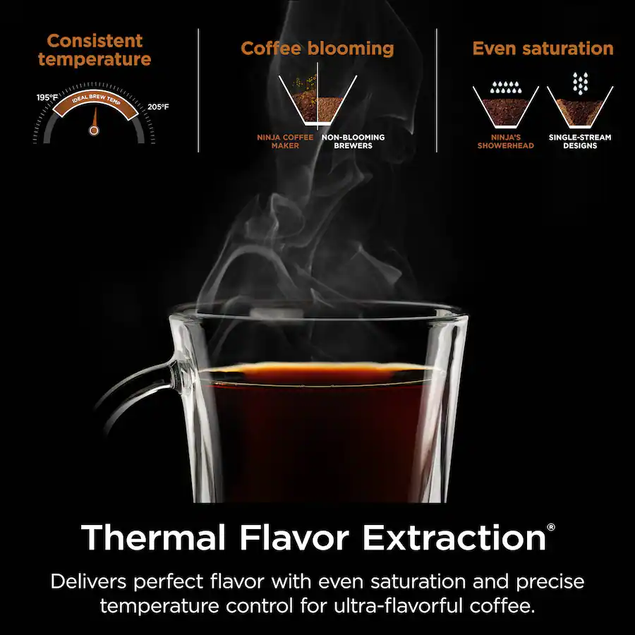 Ninja Hot and Iced XL Coffee Maker with Rapid Cold Brew, 12-Cup Drip Coffee Maker and Single-Serve Brewing - Black thumbnail 13